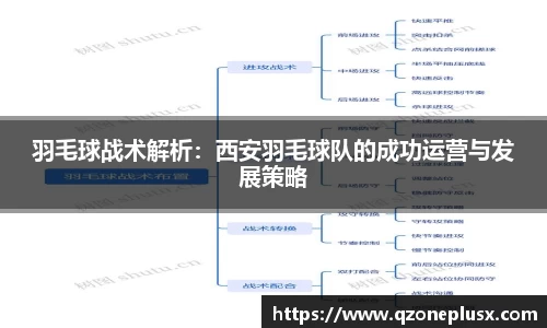 羽毛球战术解析：西安羽毛球队的成功运营与发展策略