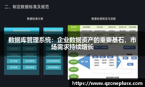 数据库管理系统：企业数据资产的重要基石，市场需求持续增长